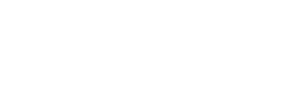 Palomino Graphic Solutions